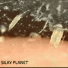 SilkyPlanet mee-eter neusstrips – snelle en effectieve oplossing voor zwarte puntjes